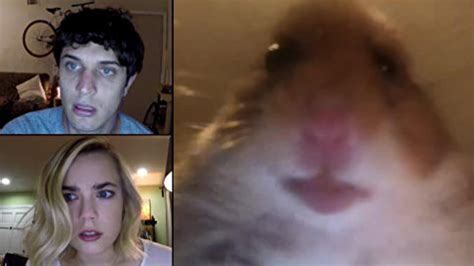 hamster cam web